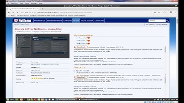 NetBeans 101 Plugins - Programming for the Web