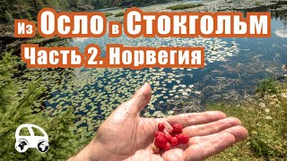 Природа Норвегии. Лиллестрём. Граница Швеции и Норвегии. Молокулиен. Из Осло в Стокгольм. Часть 2.