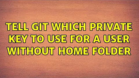 Tell git which private key to use for a user without home folder