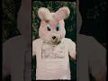 Drunk Bunny buried a time capsule back in 2004 and look what happened 🐰🍺🤯