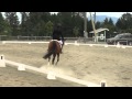 Equestrian competition second test