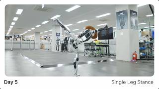 Open Humanoid ROBOTIS AI Sapiens #3: Your Humanoid in 7 days