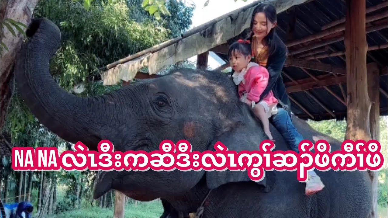 Na Na လဲၤဒီးကဆီဒီးလဲၤကွၢ်ဆၣ်ဖိကီၢ်ဖိ.