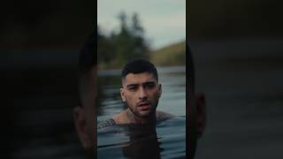 Zayn - Stardust