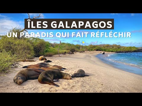 Vidéo: Le meilleur moment pour visiter les îles Galapagos