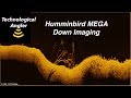 Mega down imaging  the technological angler