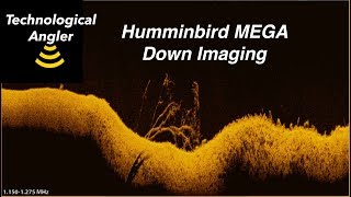 Mega Down Imaging The Technological Angler