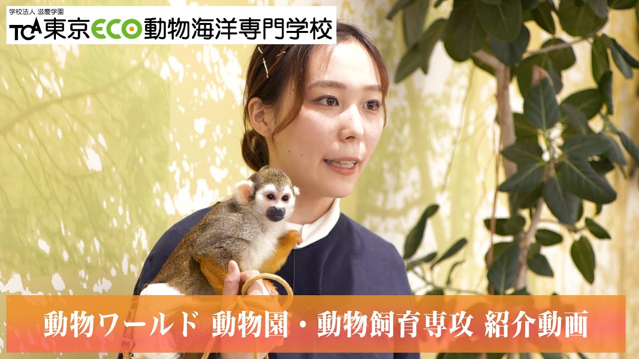 動物園飼育員を目指す在校生にインタビュー Youtube