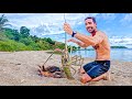 Tropical Island Life (Tuna, Lobster &amp; Coconut Feast)