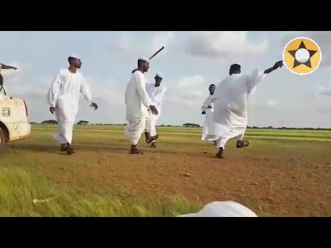 الصقيعة الخضراء من بوادينا ود احمودي