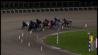 Meadow Prophets Minne 2023 - Four Guys Dream \u0026 Stefan Persson 1.12,1 2140m