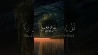 Best quran recitation | Sheikh Yasser Al Dosari #quran #islamicstatus #trending #foryou #peaceful