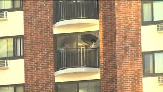 Witness was concerned about neighbor before Minneapolis shooting