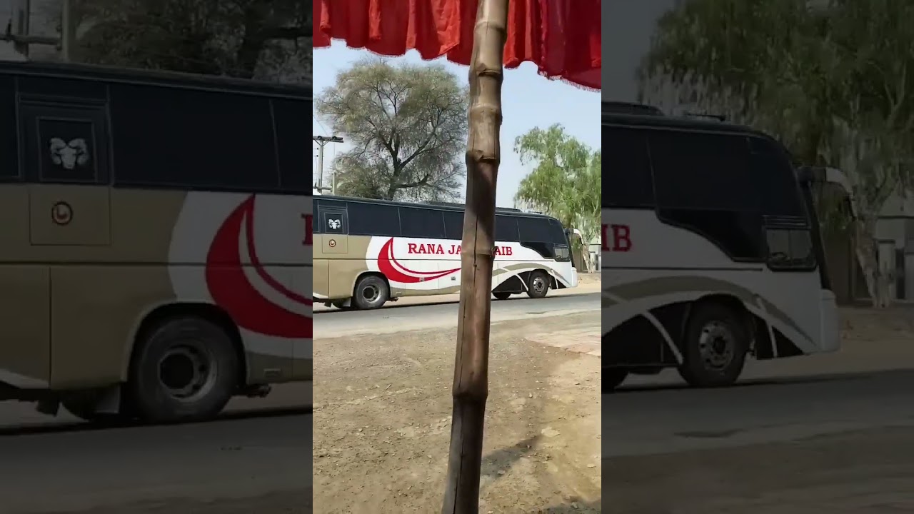 Rana jhazaB bus service sahiwal to Multan my videos home 🏡 made play 