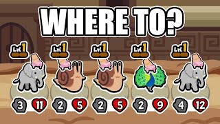 Where Would You Go From Here? - Super Auto Pets - Turtle Pack