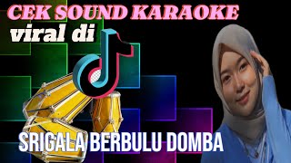 Cek Sound Karaoke || Srigala berbulu domba