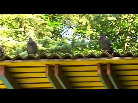 Аудиокнига Дверь в Лето скачать