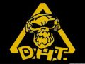 Dht virus 6 piste 16