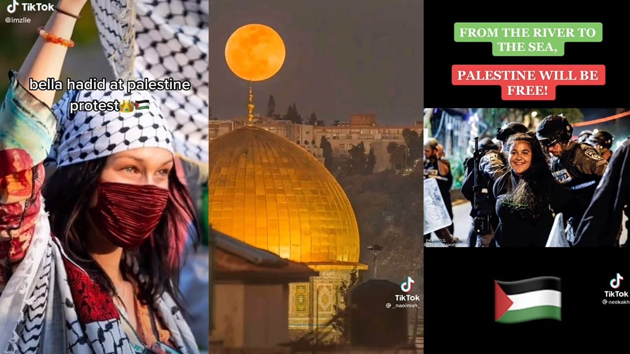 FREE PALESTINE || Free Palestine protest || Tiktok compilation