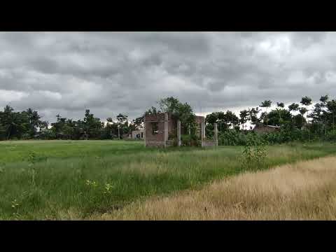 🌫️ cloud hunter : part 4 | 17-06-'22 | #monsoon #villagelife #nature