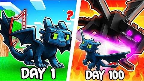 I Survived 100 Days as a NIGHT FURY in Hardcore Minecraft!