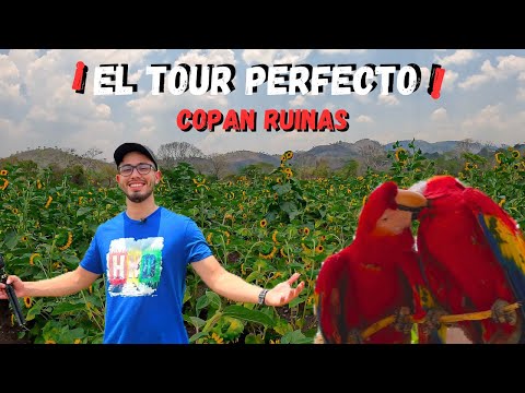 Copan Ruinas - ¡Los lugares MAS TURISTICOS! - El atardecer mas HERMOSO que pueden ver 🦜🌻🇭🇳