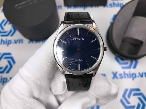 Xship.vn: Citizen Stiletto AR3070-04L