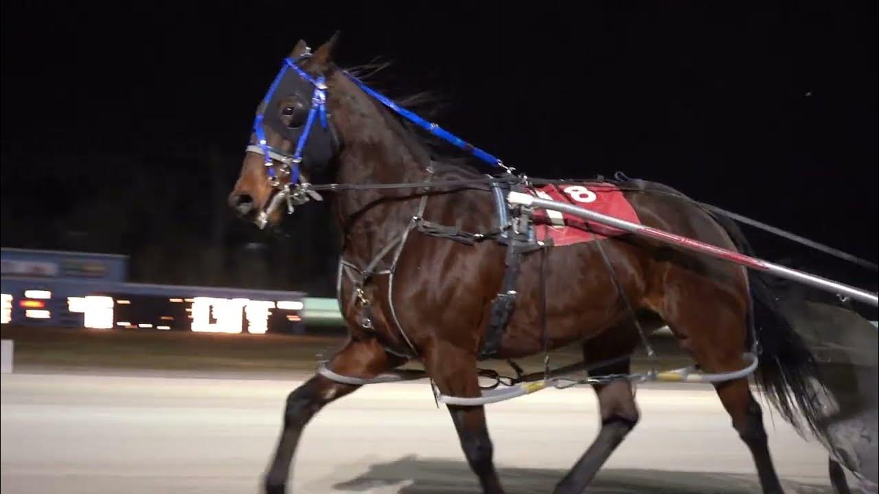 Northville Downs Horse Race Track YouTube