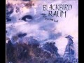 Blackbird Raum - William