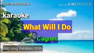What Will I Do - Cagnet karaoke ost J Drama Long Vacation 1996