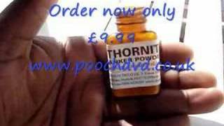 Thornit Ear powder for Furry Pets