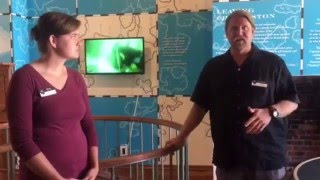 Get Wrecked! With Underwater Archaeologists