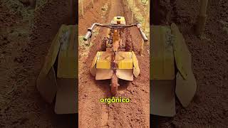 Solo Preparado: A Raiz de Todo Começo. #agro #agricultura #agronomia #agriculturaregenerativa
