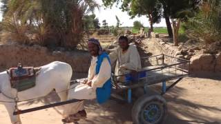 Sudan 2012 Slideshow ?????????????