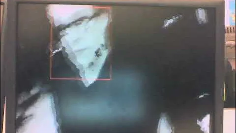 Comp4601 project - facial detection on an FPGA