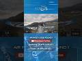 AIR RACE X 2025 SEASON ROUND 1Official Teaser 1#AIRRACEX #ExpandLimits #エアレース #airplane