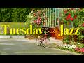 Playlist 따뜻한 봄바람과 듣기 좋은 화요일 재즈 적당한 리듬의 부드럽고 편안한 봄 재즈 Tuesday Jazz 