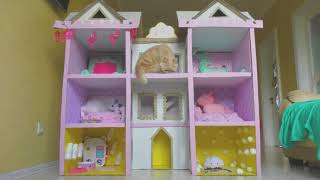 Building New Amazing Kitten Cat Pet House from Cardboard ! by Phong Nguyễn 1,050 views 2 years ago 9 minutes, 51 seconds