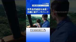 沖縄北部にテーマパーク、2025年オープンへ　自然が観光資源の「JUNGLIA」｜TBS NEWS DIG #shorts