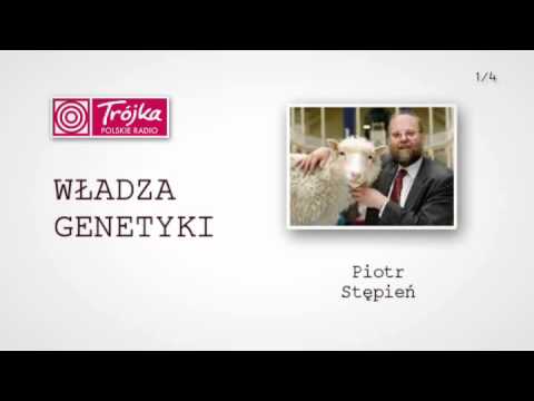 Wideo: Włączenie Genetyki Do Identyfikacji I Leczenia Idiopatycznego Zwłóknienia Płuc