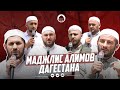 ТЫСЯЧИ МУСУЛЬМАН НА МАДЖЛИСЕ АЛИМОВ ДАГЕСТАНА | Тляратинский район