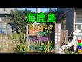 [駅名替え歌] 駅名で「アイ・アイ・ア」(Ado)