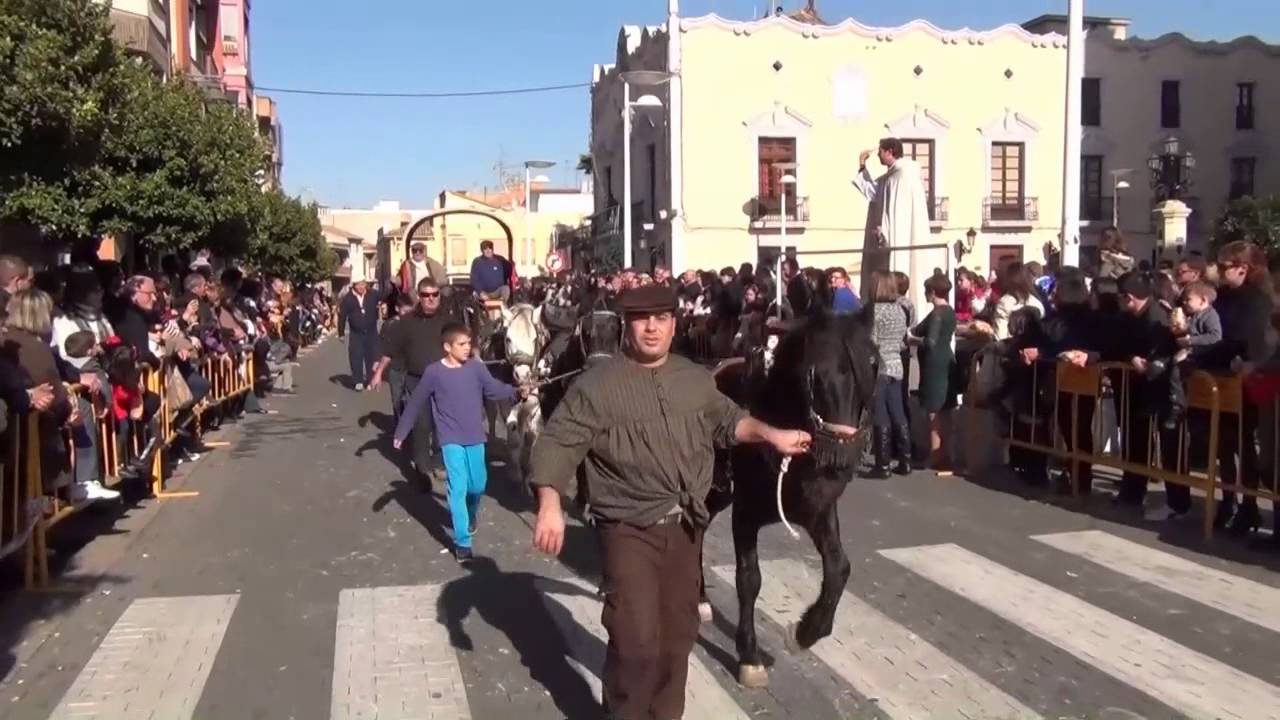 Alginet Benedicció del Animals 2