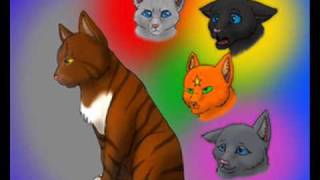 Leafpool's Kit's Lullaby