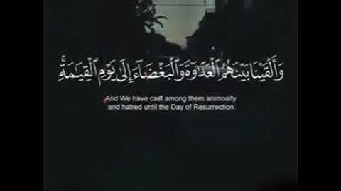 كُلَّمَا أَوْقَدُوا نَارًا لِّلْحَرْبِ أَطْفَأَهَا اللَّهُ ۚ - القارئ محمد أبو قرن