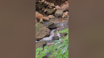 Suối Tiên Hoang Sơ Tại Núi Cấm - An Giang | Trần Ngọc Nè