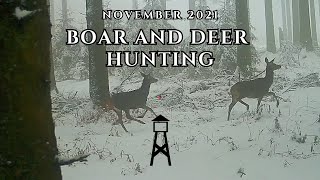 Deer and Boar Hunt - November 2021 to October 2022