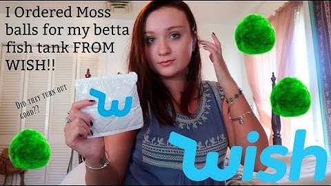 I ORDERED MOSS BALLS FOR MY BETTA FISH TANK FROM WISH!! | DID THEY TURN OUT GOOD?! | ItsAnnaLouise