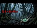 【未解決の謎】青木ヶ原樹海: 富士山の麓の禁断の森 (The Unsolved Mystery: Aokigahara Forest, The Forbidden Forest at Mt. Fuji