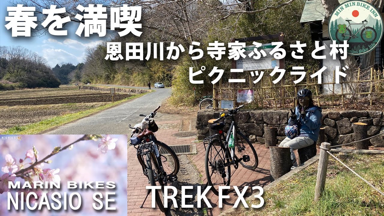 恩田川をポタリング　寺家ふるさと村　春を満喫　梅見ピクニックライド